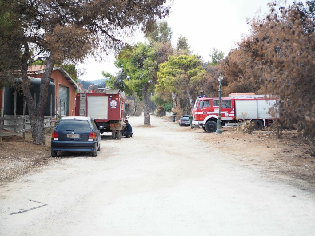 Feuerwehr und Polizei waren mit den Waldbränden in diesem Jahr überfordert.
